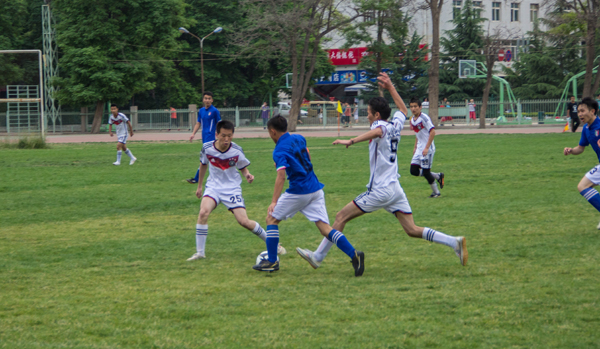 季的关注度 季的关注度